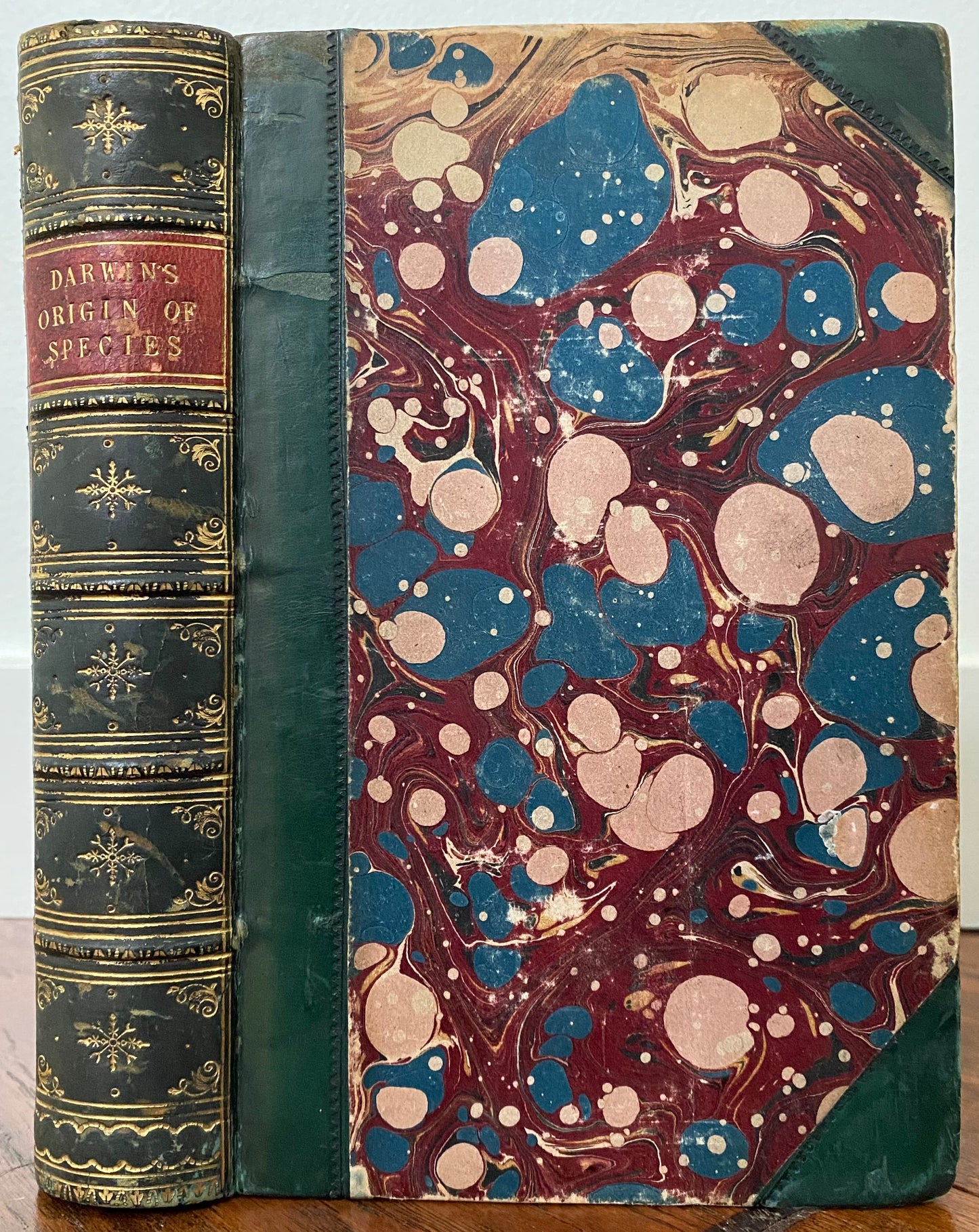 1860 CHARLES DARWIN. Fine Assemblage of Five Early Charles Darwin Imprints.