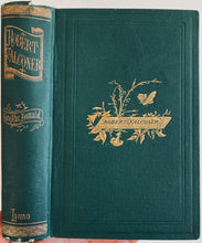 Load image into Gallery viewer, 1870 GEORGE MACDONALD. Robert Falconer. Very Attractive Early American Edition.