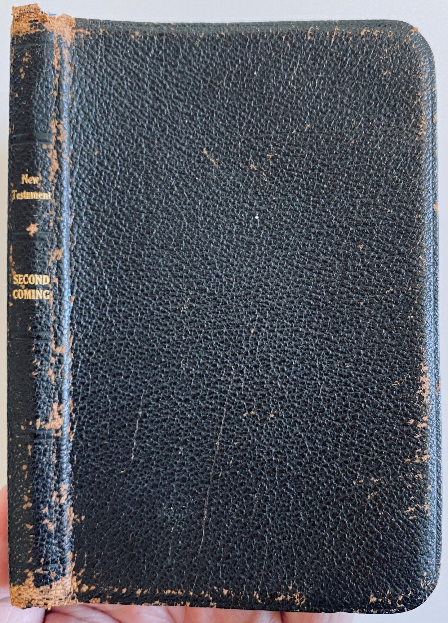 1917 PREMILLENNIAL NEW TESTAMENT. Scarce New Testament with Eschatological Passages Emphasized.