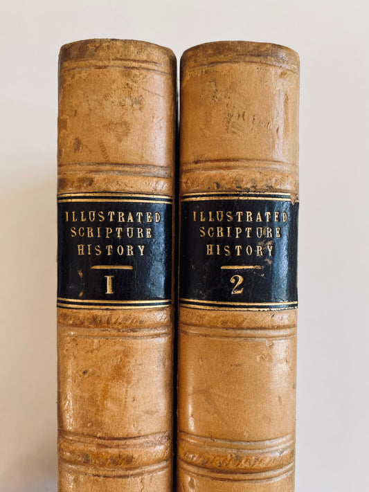 1860's ILLUSTRATED BIBLE. 300+ Engravings Exhibiting a History of Scripture for the Young. VG!