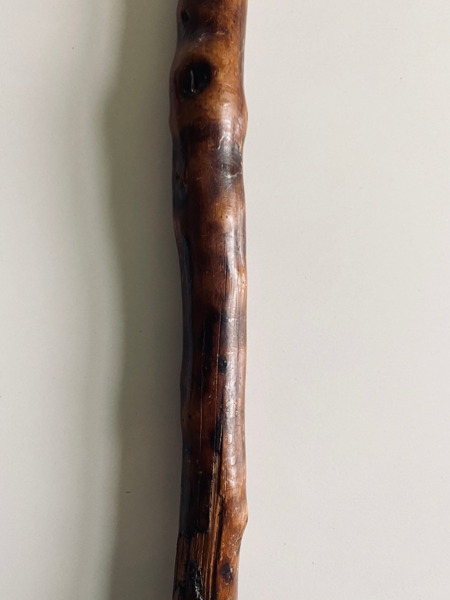 1899 WILLIAM BUTLER. Fine Walking Cane Belonging to the Francis Asbury of Methodist Missions in India & Mexico!