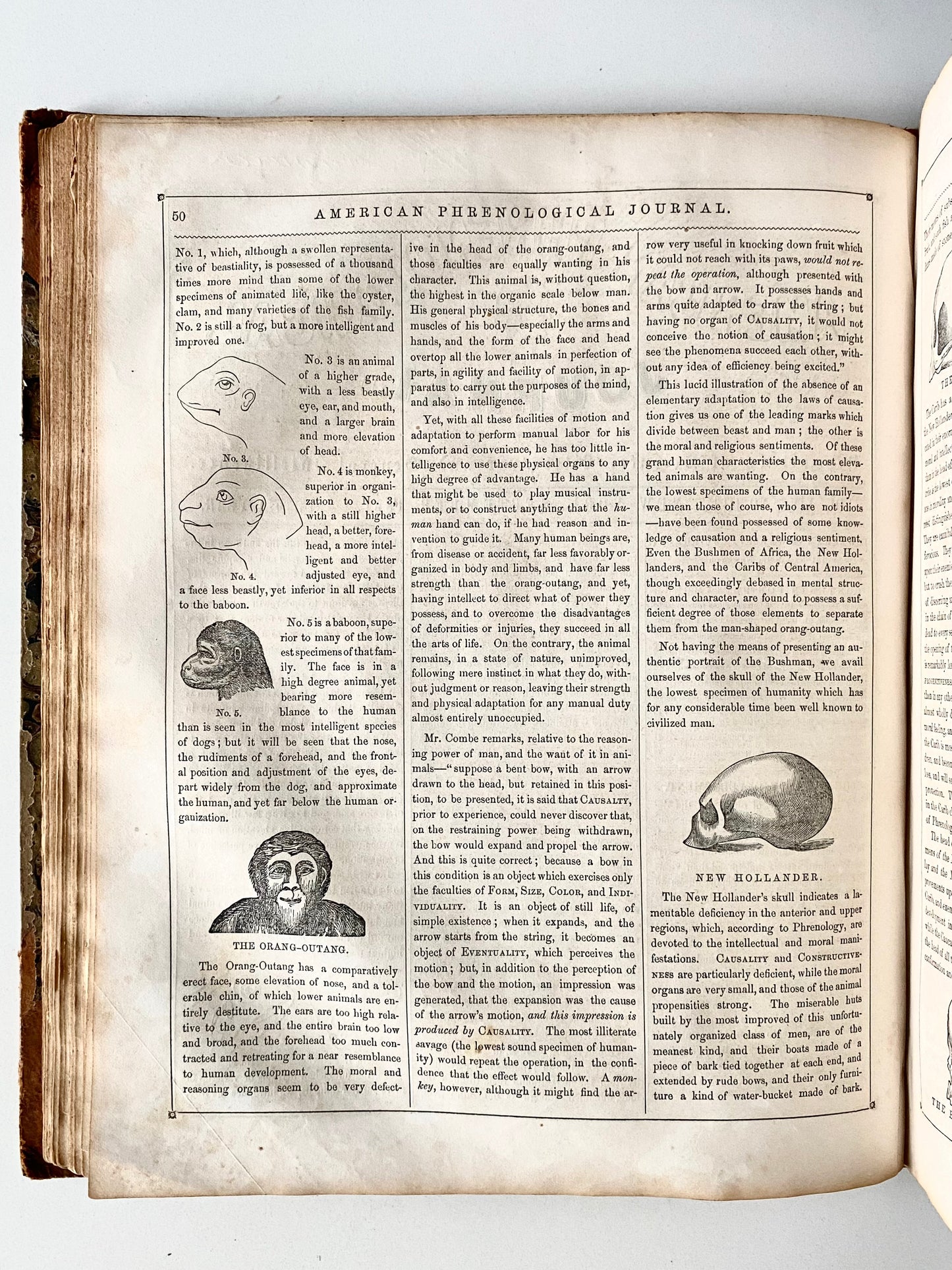 1851-1853 PHRENOLOGICAL JOURNAL. Clairvoyance, Somnambulism, Feminism, Mormonism, etc. Superbly Illustrated.