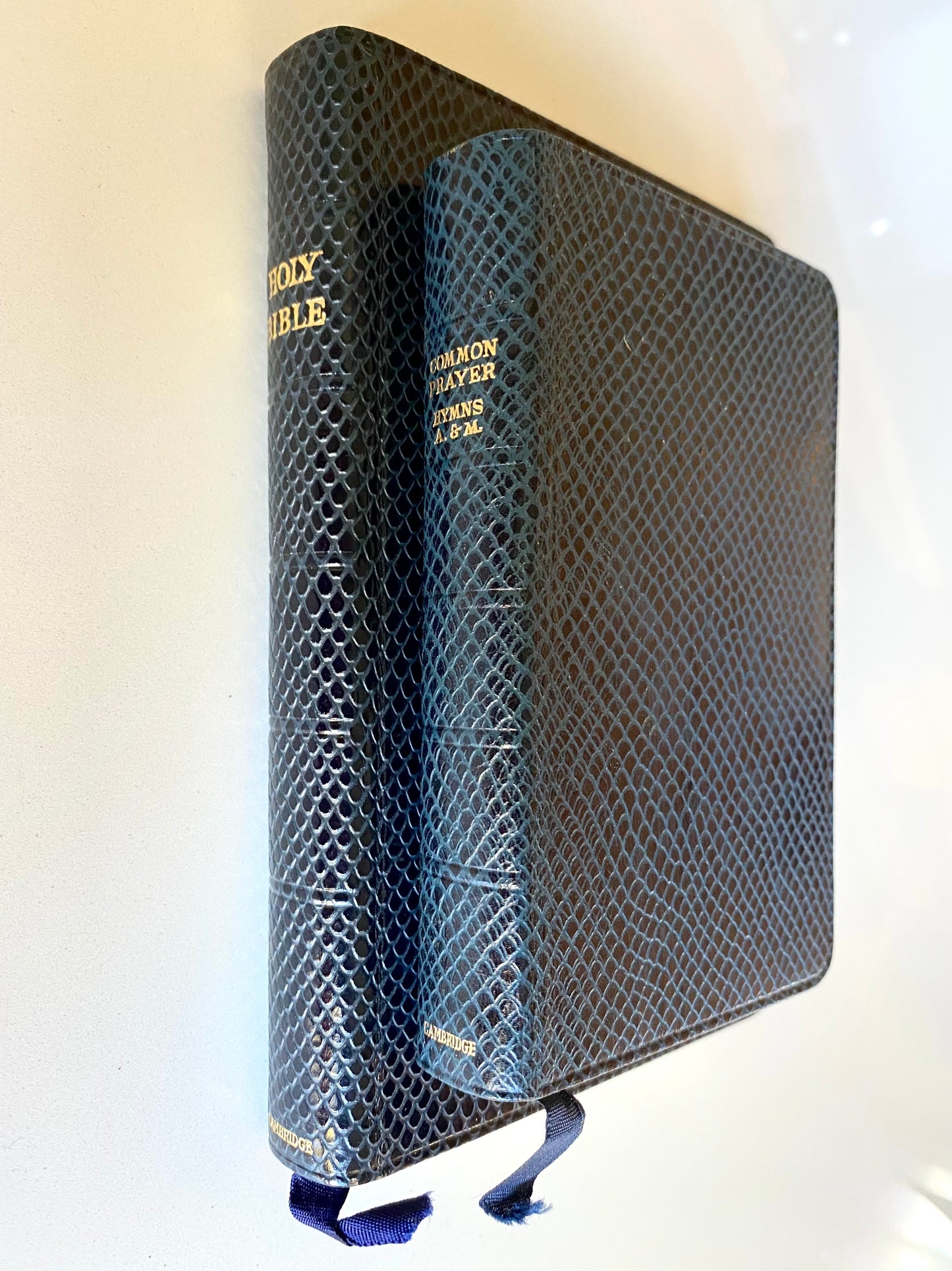 1950 CAMBRIDGE BIBLE. Rare Snakeskin Binding in Snakeskin Presentation Box.