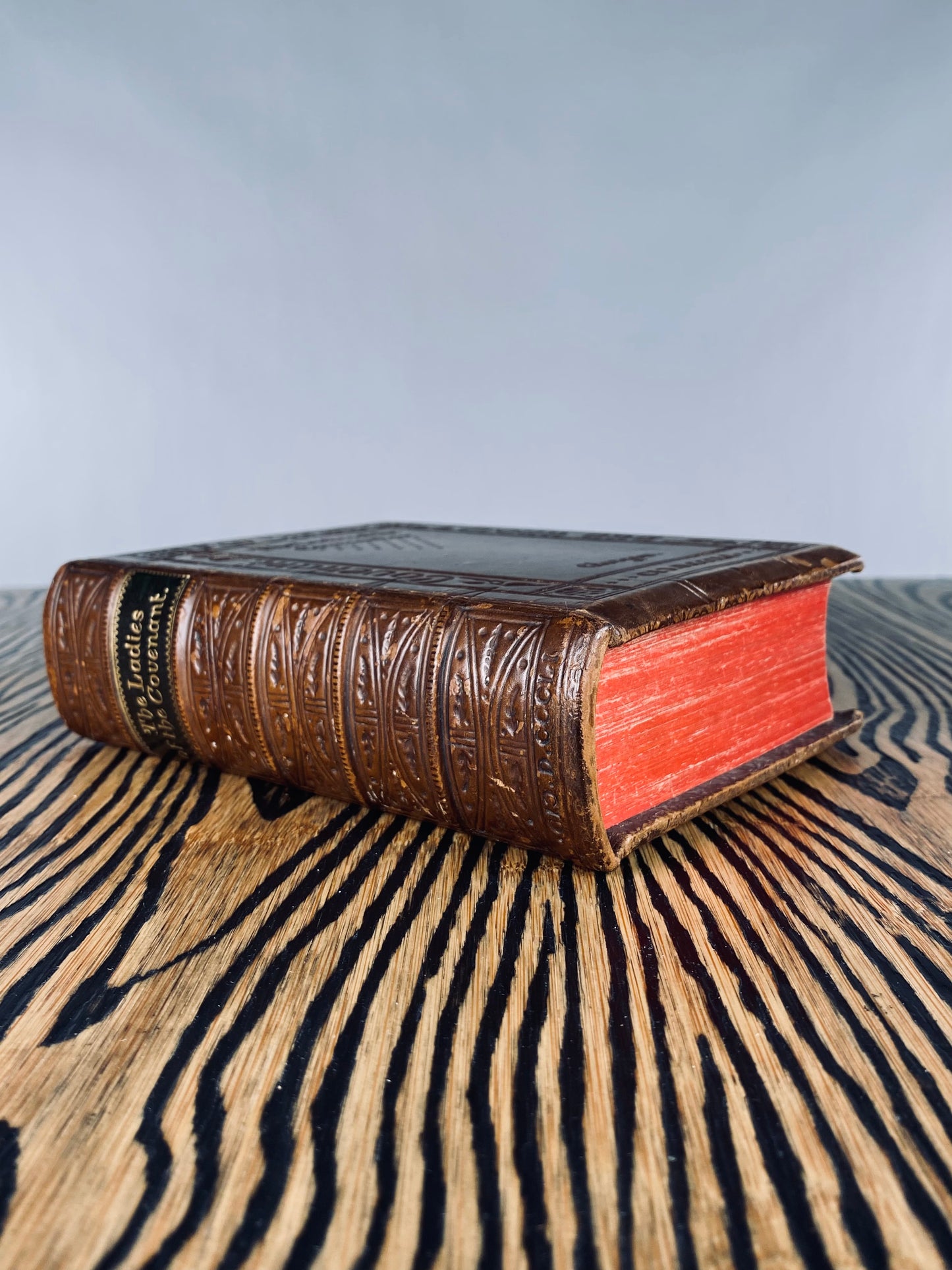 1853 JAMES ANDERSON. Female Martyrs & Pious Women of the Scottish Covenanters. Beautiful Gothic Binding!