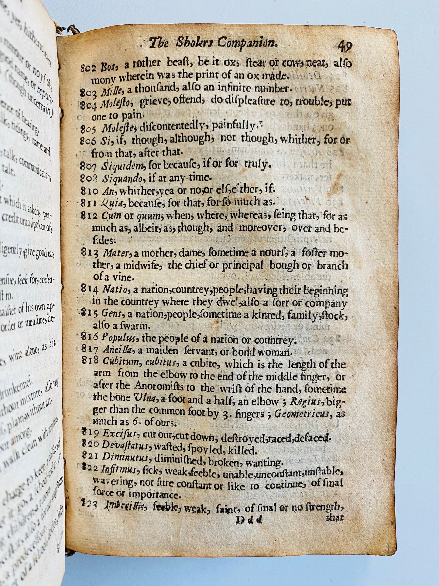 1648 ALEXANDER ROWLEY. The Schollers Companion Witch Trial & Solomon Stoddard Family Connection!