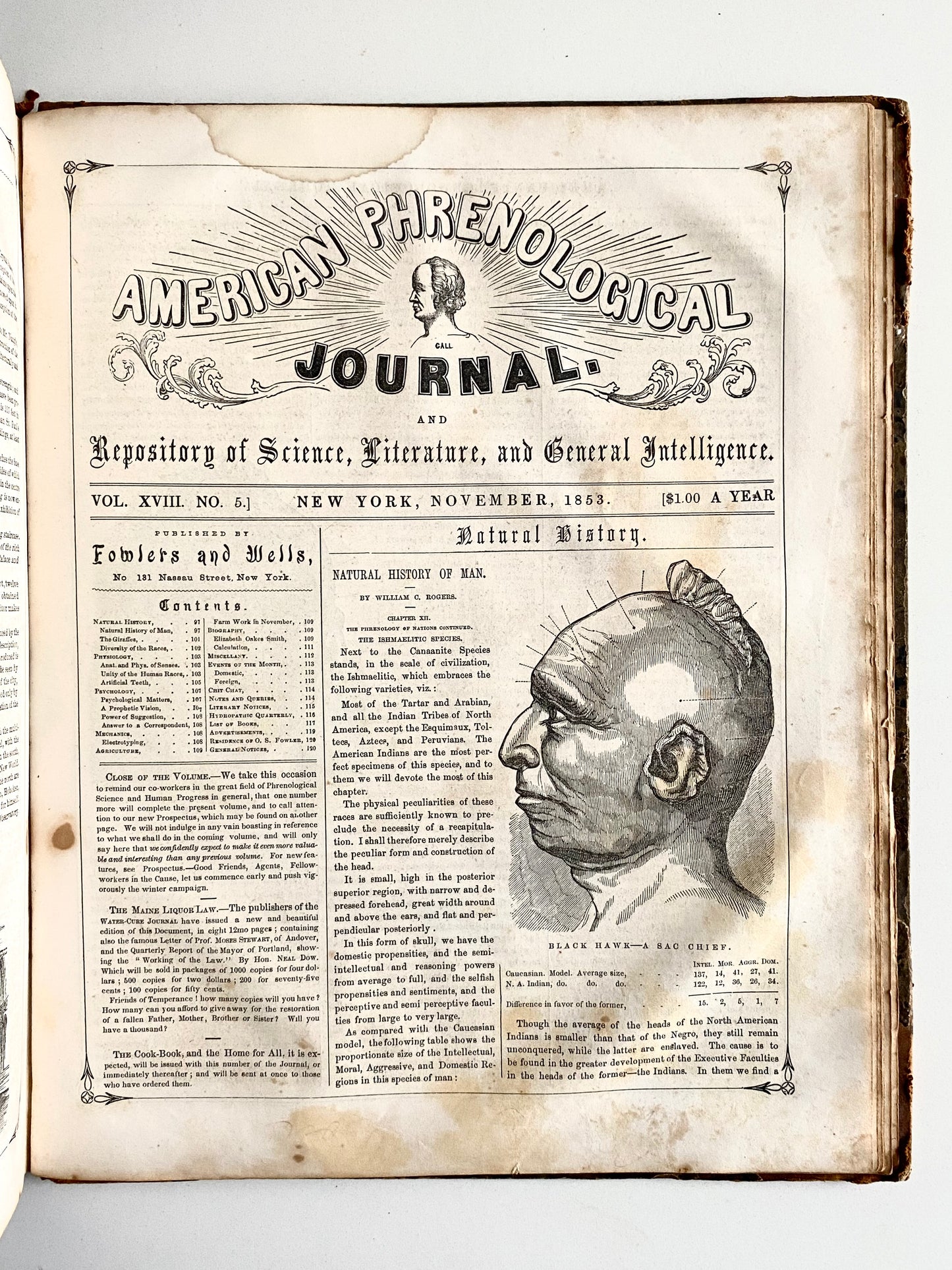 1851-1853 PHRENOLOGICAL JOURNAL. Clairvoyance, Somnambulism, Feminism, Mormonism, etc. Superbly Illustrated.