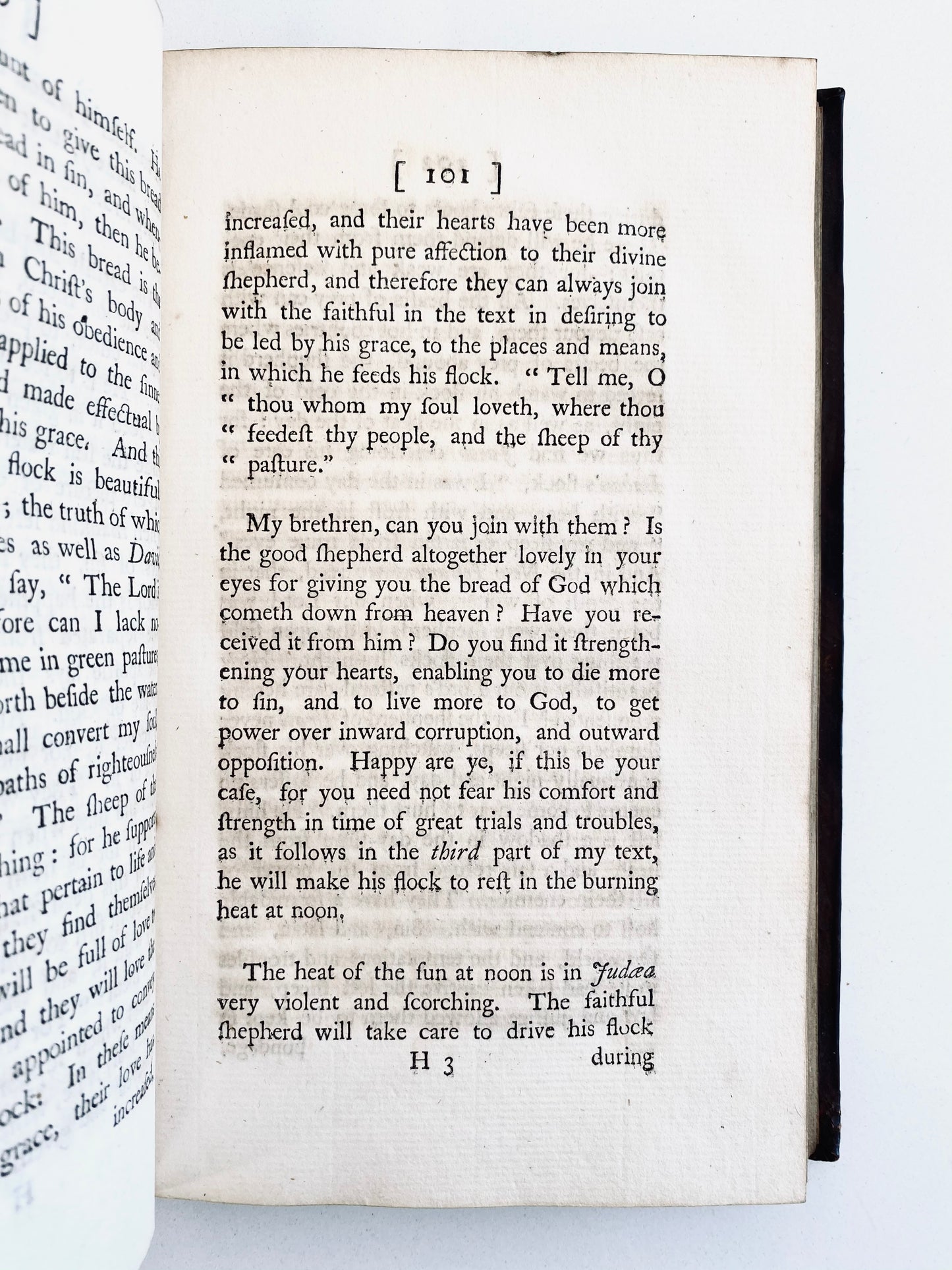 1758 WILLIAM ROMAINE. First Ed. Twelve Discourses on the Song of Solomon. Spurgeon Recommends!