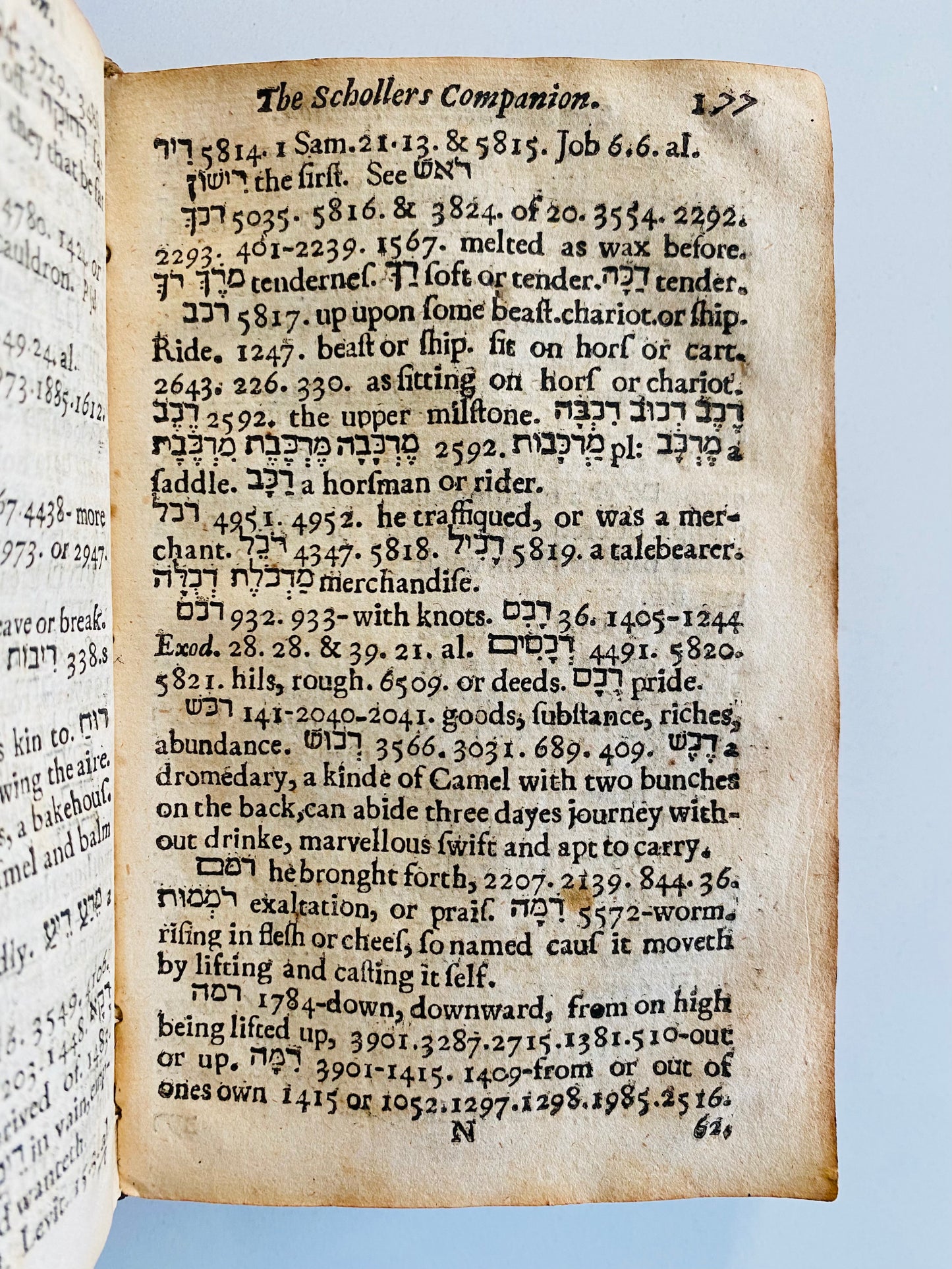 1648 ALEXANDER ROWLEY. The Schollers Companion Witch Trial & Solomon Stoddard Family Connection!